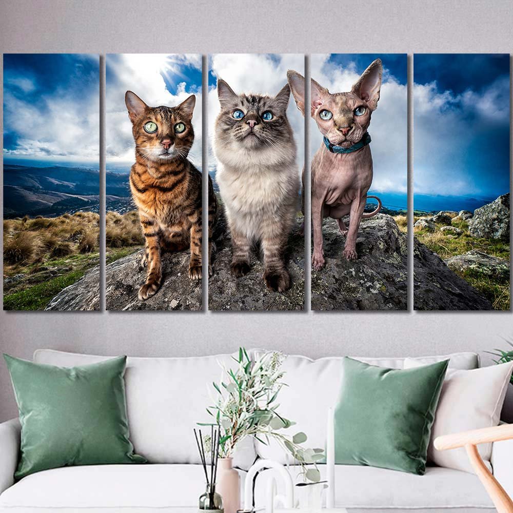 Multi Canvas animals cats mammals clouds animal eyes sphynx